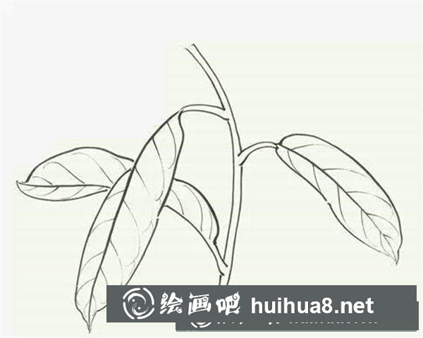 國(guó)畫寫意葉子的畫法