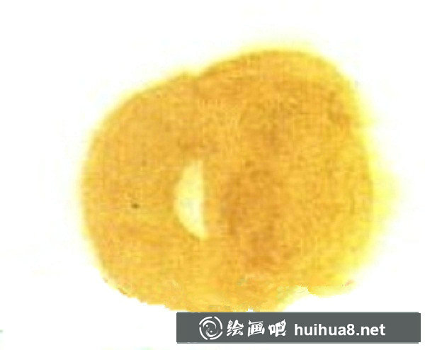 兒童國畫枇杷怎么畫