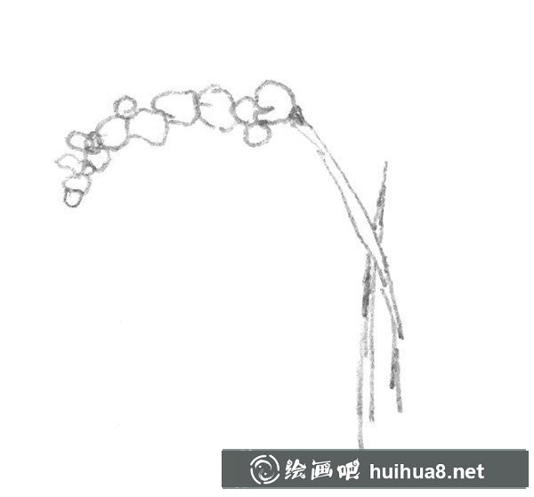 簡(jiǎn)單植物速寫的繪畫步驟