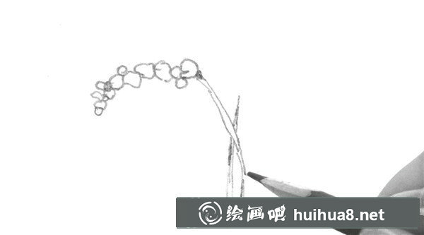 簡(jiǎn)單植物速寫的繪畫步驟