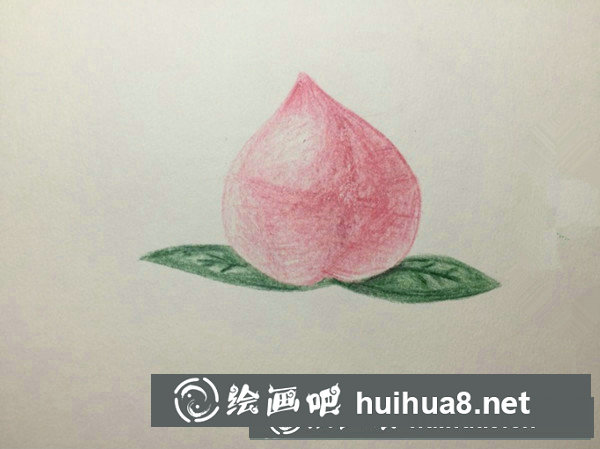 彩鉛花朵怎么畫？彩鉛花朵繪制技巧