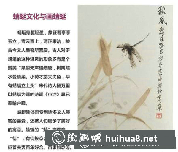 國畫蜻蜓怎么畫