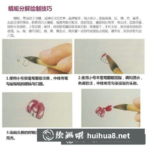 國畫蜻蜓怎么畫