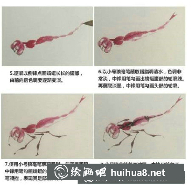 國畫蜻蜓怎么畫