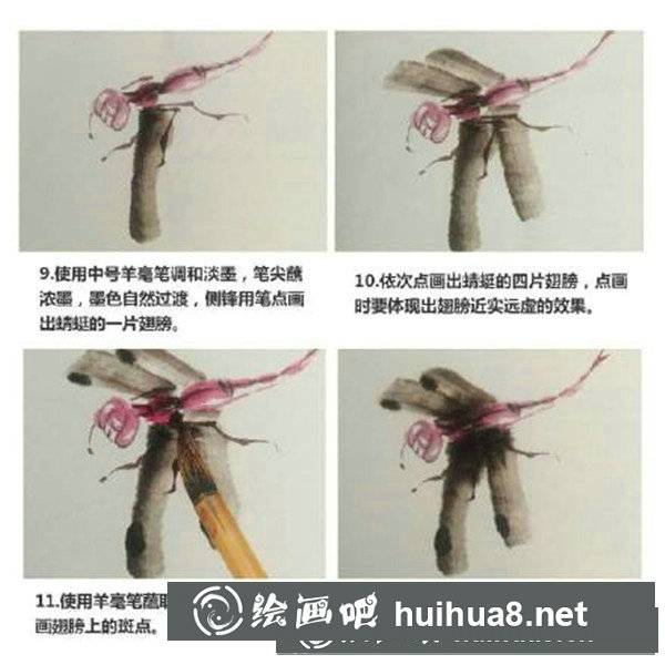國畫蜻蜓怎么畫