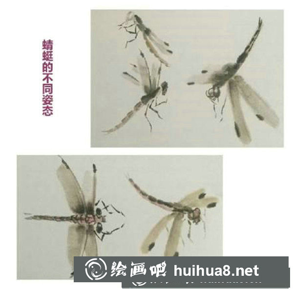 國畫蜻蜓怎么畫