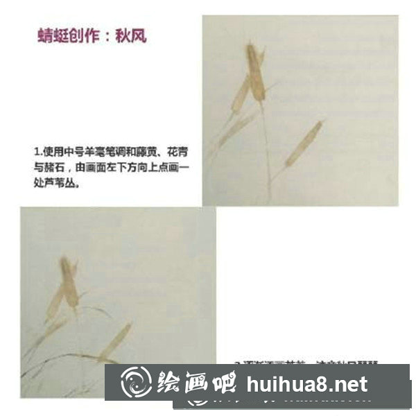 國畫蜻蜓怎么畫