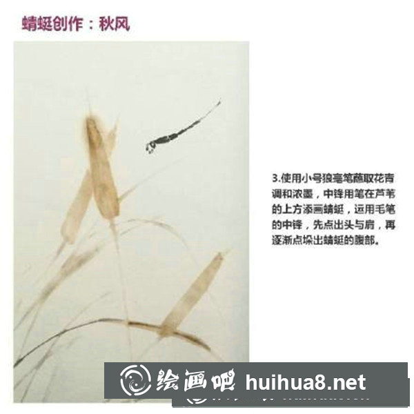 國畫蜻蜓怎么畫