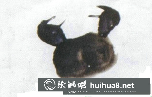 兒童國畫螃蟹的畫法步驟