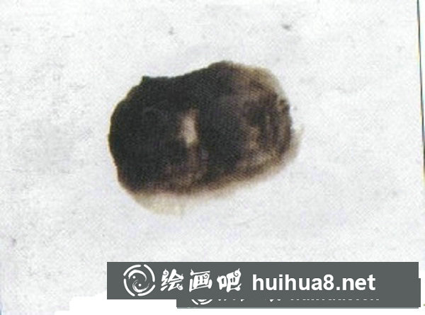 兒童國畫螃蟹的畫法步驟