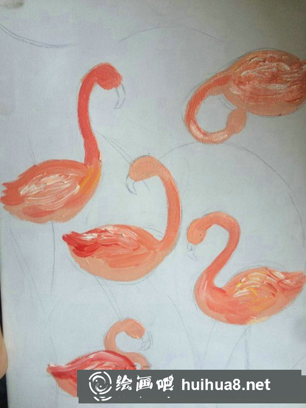火烈鳥裝飾丙烯畫簡單教程