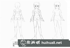 動漫人體結(jié)構(gòu)繪畫技巧