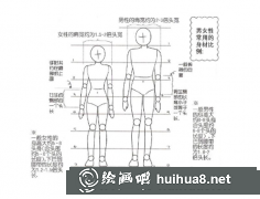 漫畫人體結構畫法教程入門必備