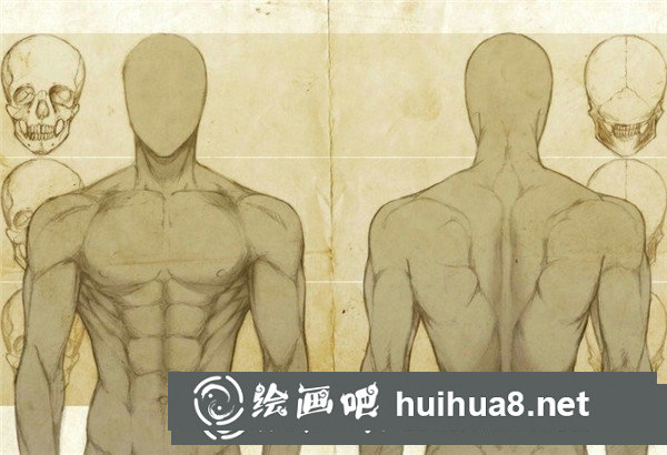 漫畫人物比例與結(jié)構(gòu)
