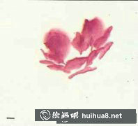 牡丹花畫法步驟圖文教程全集