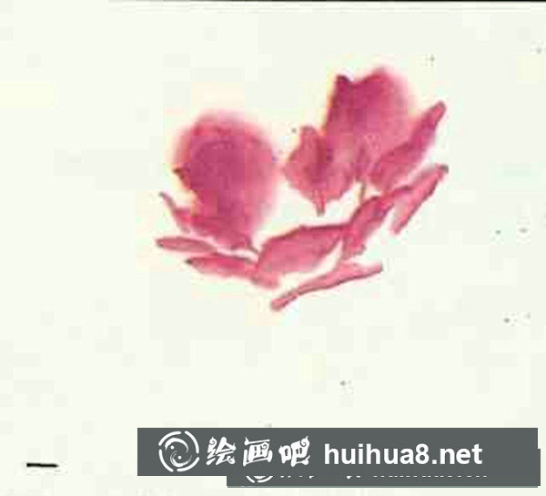 牡丹花畫法步驟圖畫