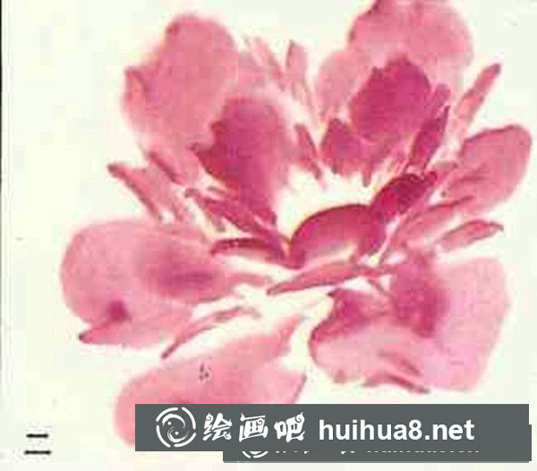 牡丹花畫法步驟圖畫