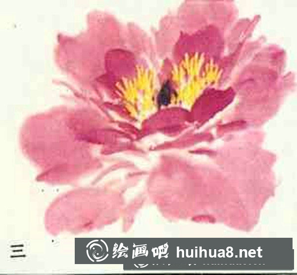 牡丹花畫法步驟圖畫