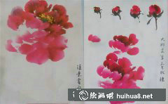 國畫牡丹畫法分解步驟詳解