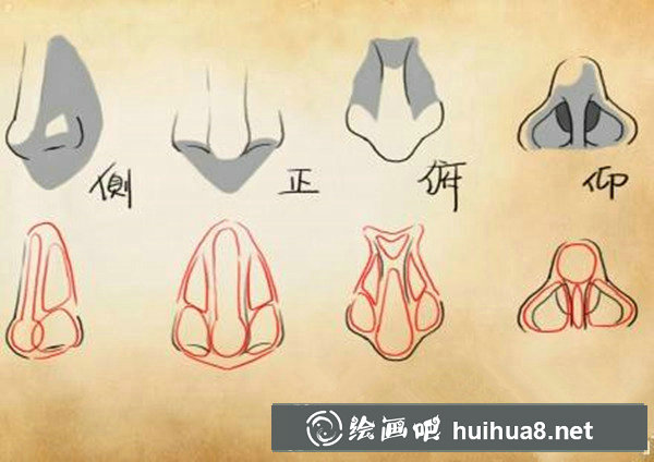 漫畫鼻子的畫法