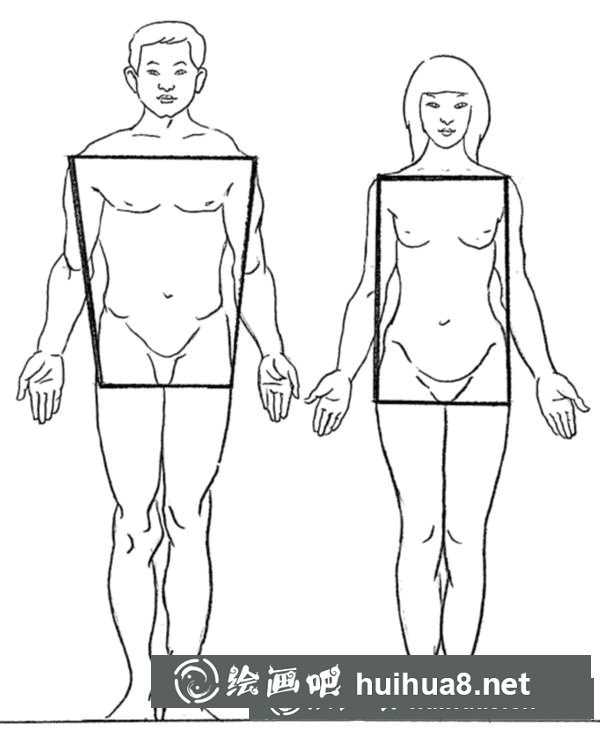 漫畫(huà)人物體型圖