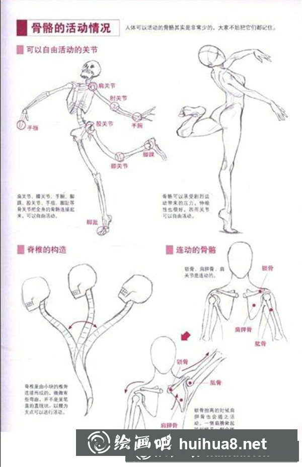 漫畫(huà)人物體型圖