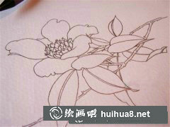丙烯顏料繪單瓣茶花教程