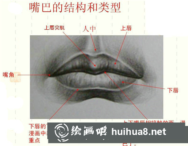 漫畫(huà)人物嘴巴畫(huà)法
