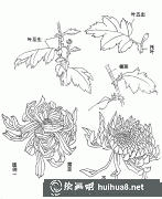 國畫菊花技法詳解