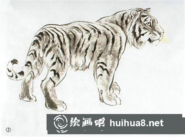 國畫老虎的畫法