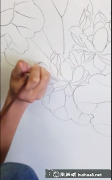 荷花白描線稿繪制教程