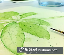 教你畫清新鵝掌藤