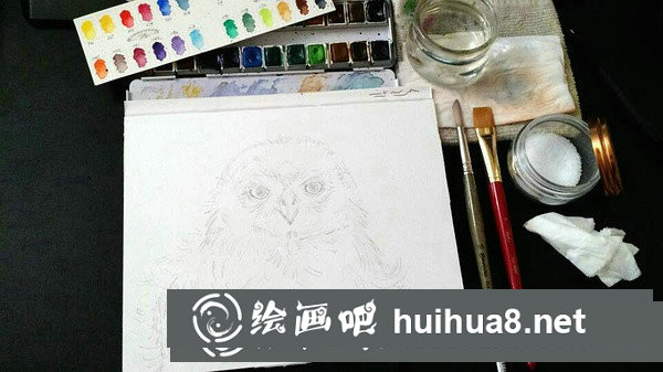 雪鸮