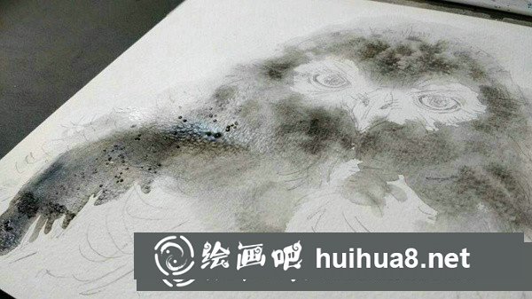雪鸮