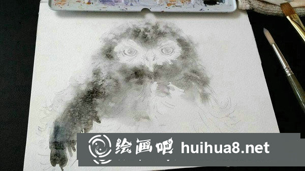 雪鸮