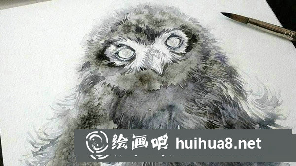 雪鸮