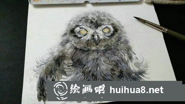 雪鸮