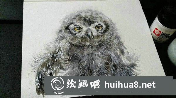 雪鸮