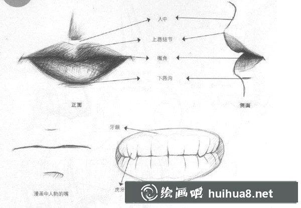 動(dòng)漫嘴巴畫法