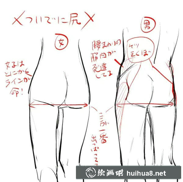 漫畫中的可愛動(dòng)物繪制技巧