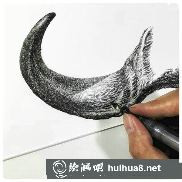 鋼筆畫牛頭