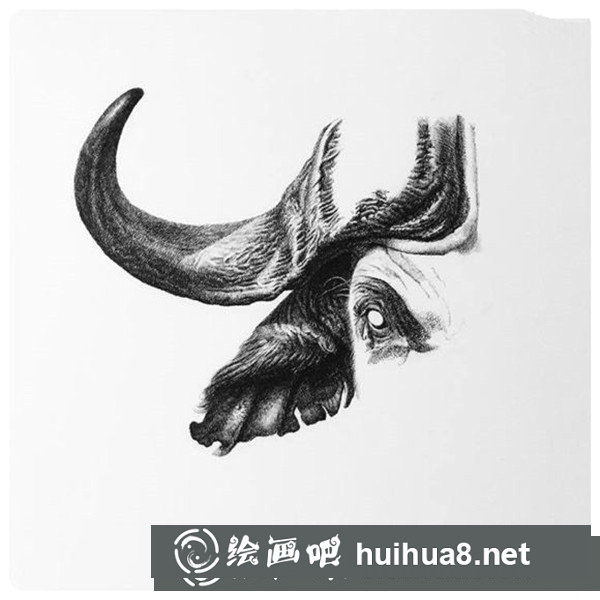 鋼筆畫牛頭