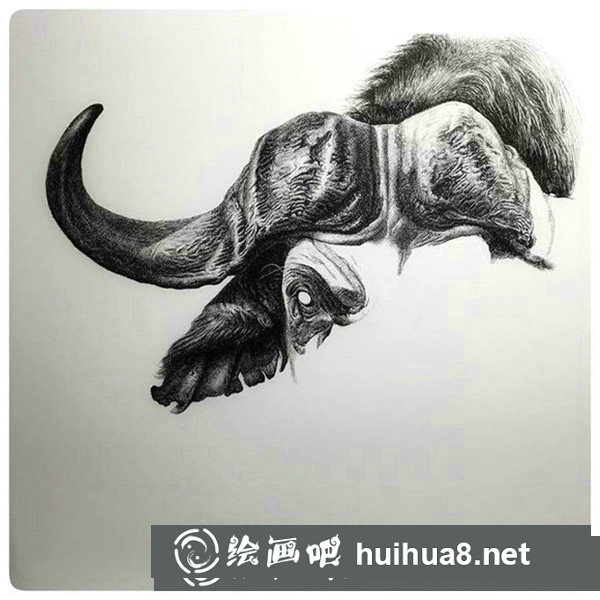 鋼筆畫牛頭