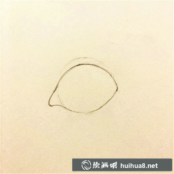 用鋼筆繪制的花朵