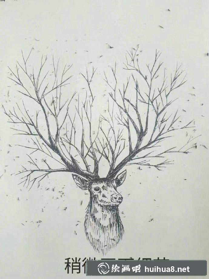簡單的麋鹿繪畫教程