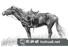 鋼筆畫(huà)藝術(shù)解讀與技法展示