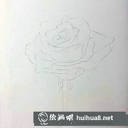 花畫(huà)教程 玫瑰彩鉛繪法