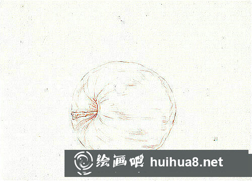 蘋果彩鉛畫入門教程