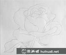 彩鉛月季花繪畫教程
