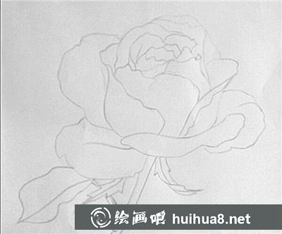 彩鉛畫花卉繪畫教程：桃花